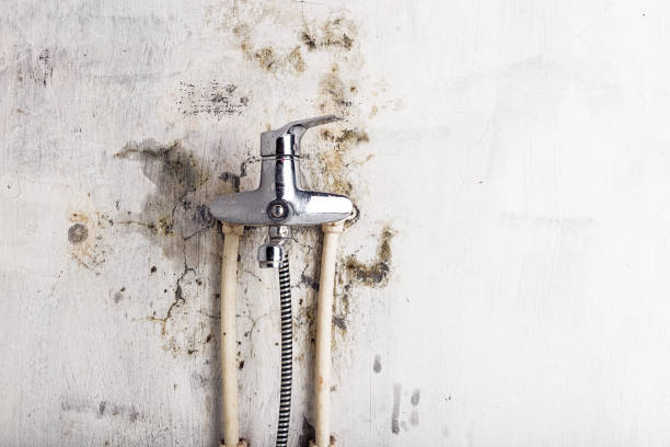 Best Commercial Mold Removal  in Milpitas, CA