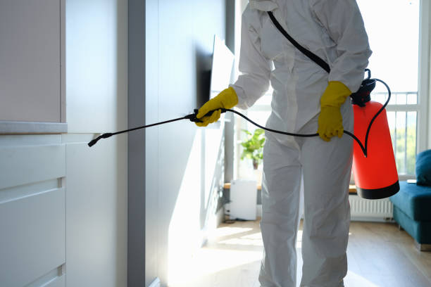 Best Mold Removal Company Near Me  in Milpitas, CA