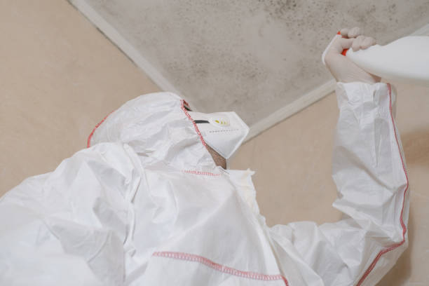 Best Mold Removal Near Me  in Milpitas, CA